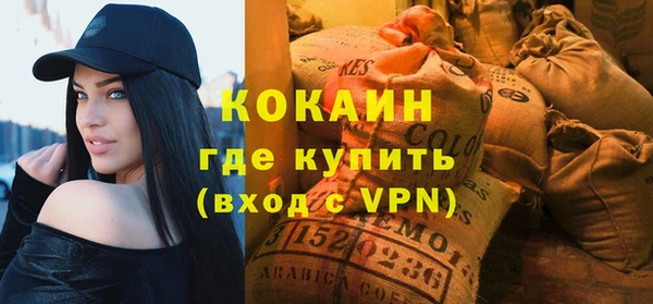 ГАЛЛЮЦИНОГЕННЫЕ ГРИБЫ Бородино