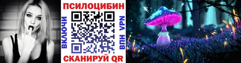 Купить где  Нальчик  Галлюциногенные грибы Psilocybe 